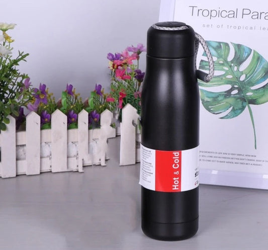 550ML Stainless Steel Sports Bottle